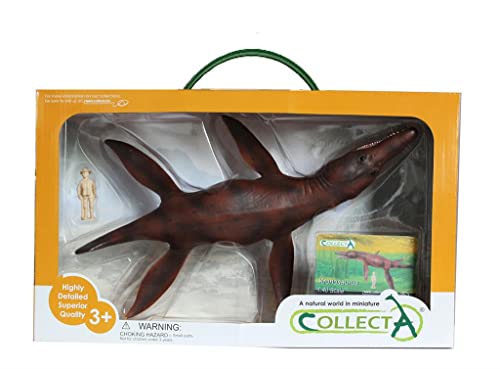 Collecta Kronosaurus Deluxe Kasten Collecta Kronosaurus Deluxe Kasten von Collecta