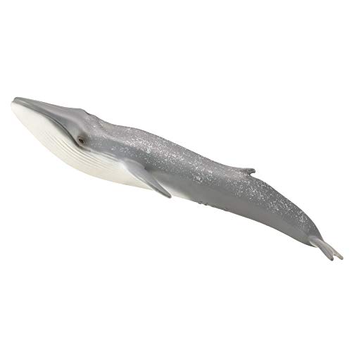 Collecta PĹetwal bĹÄkitny [FIGURKA] von Collecta