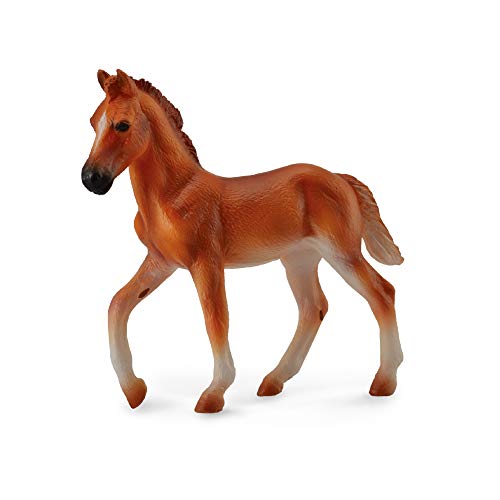 NICI - Peruanisches Kastanienholz, Mehrfarbig (90188751) von Collecta