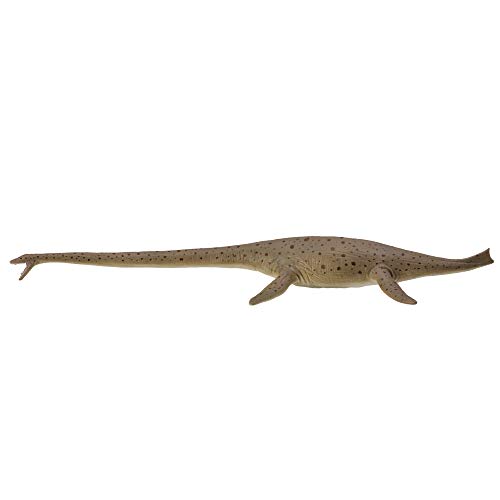 Collecta – Thalassomedon – Deluxe – 1:40 – 88760 (90188760) von Collecta