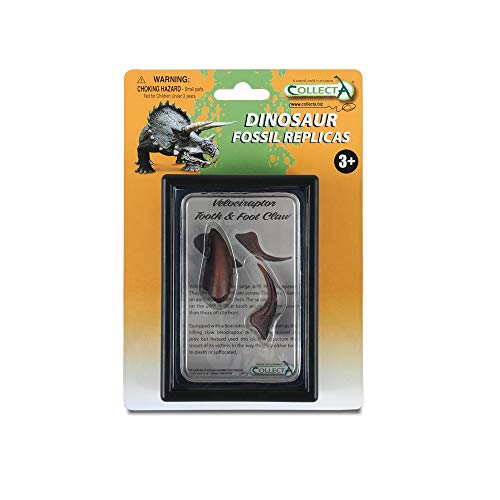 Collecta Zähne und Pfoten von Velociraptor Box Set Collecta Zähne und Pfoten von Velociraptor Box Set von Collecta