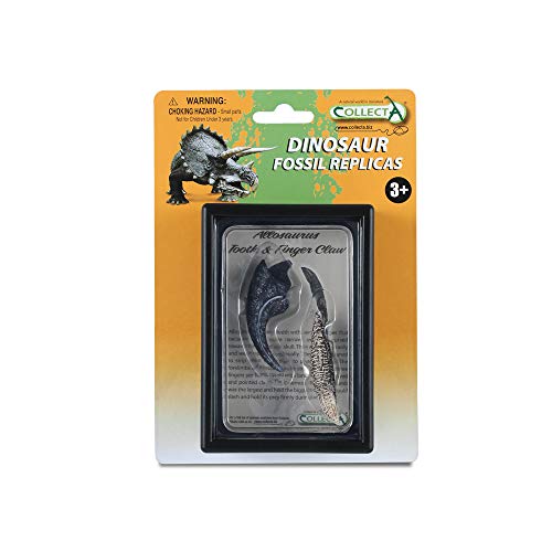 Collecta Tooth & Finger-Greifer von Allosaurus Box Set Collecta Tooth & Finger-Greifer von Allosaurus Box Set von Collecta