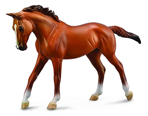 Collecta von Collecta