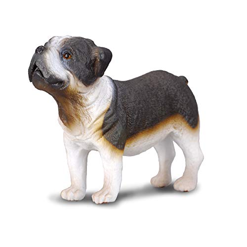 Collecta – col88179 – Bull Dog – Größe M Collecta – col88179 – Bull Dog – Größe M von Collecta