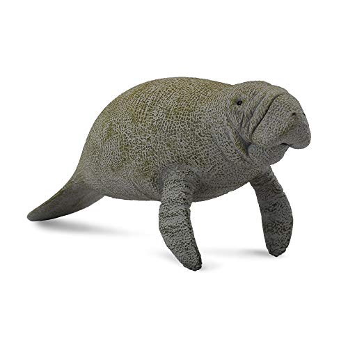 Collecta – col88455 – Rundschwanzseekühe – Größe L Collecta – col88455 – Rundschwanzseekühe – Größe L von Collecta