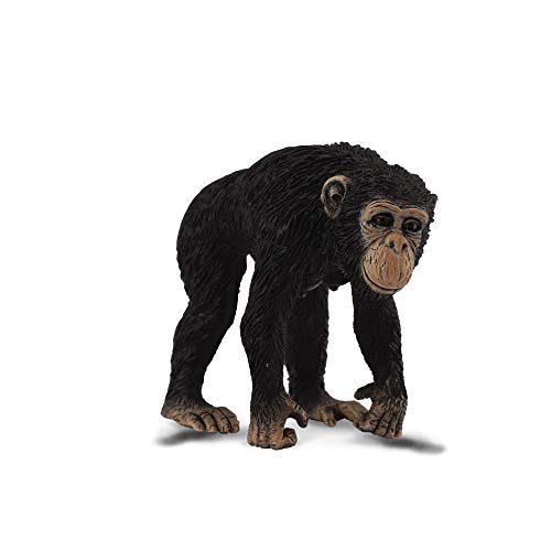 Collecta – col88492 – Schimpanse männlich – Größe M Collecta – col88492 – Schimpanse männlich – Größe M von Collecta