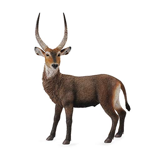 Collecta – col88562 – COBE zu Wachsende – Antilope – Größe L von Collecta