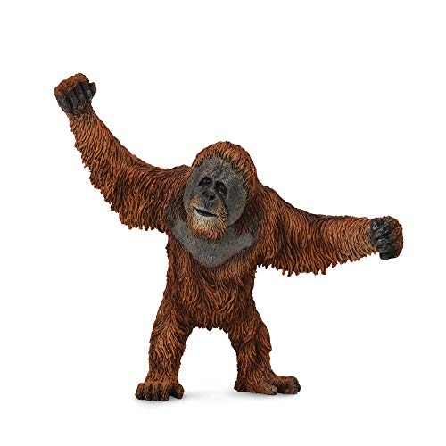 Collecta – col88730 – Wild – Orang Outan – L, Orange, S Collecta – col88730 – Wild – Orang Outan – L, Orange, S von Collecta
