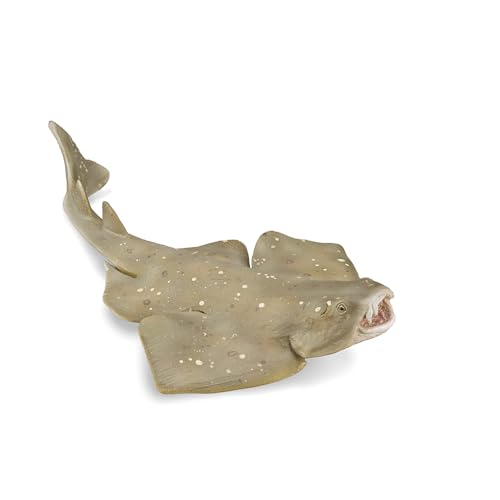 Collecta von Collecta
