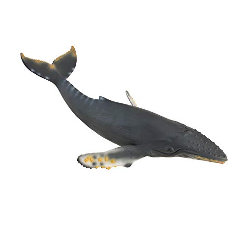 Humpback Whale Humpback Whale von Collecta