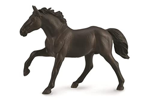 Nonius Hengst Nonius Hengst von Collecta