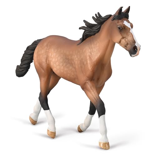 Standardbred Hengst - (XL) von Collecta