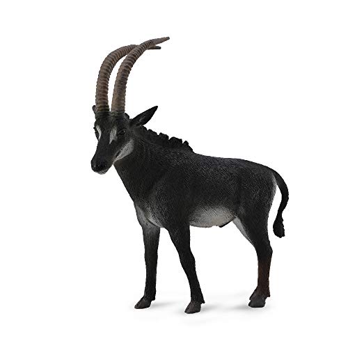 Collecta – col88564 – hippotragus schwarz – Größe L Collecta – col88564 – hippotragus schwarz – Größe L von Collecta