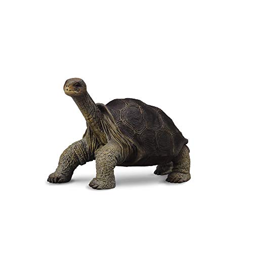 Collecta - 3388619 – Figur – Wildtiere – Galápagos Riesenschildkröte Collecta - 3388619 – Figur – Wildtiere – Galápagos Riesenschildkröte von Collecta