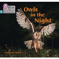 Owls in the Night von Collins Reference