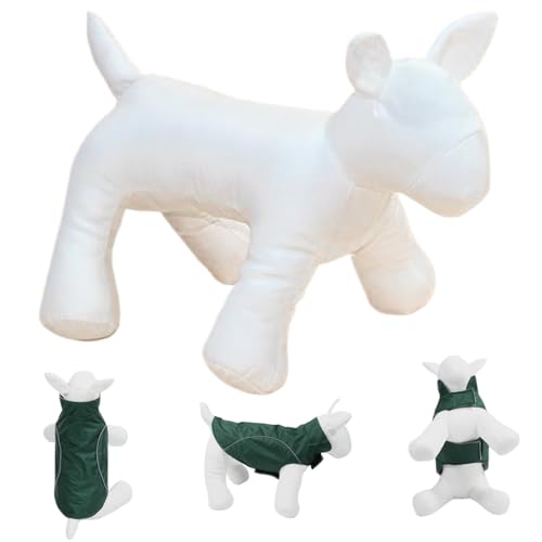 Comebachome Hund Mannequin, niedlicher stehender Hund Schaufensterpupplung, aufblasbarer Hund Schaufensterpuppen, wiederverwendbar Comebachome Hund Mannequin, niedlicher stehender Hund Schaufensterpupplung, aufblasbarer Hund Schaufensterpuppen, wiederverwendbar von Comebachome