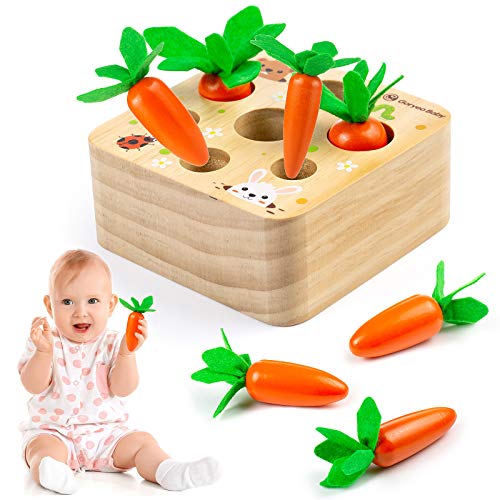 Comius Sharp Karotte Montage Spielzeug Holzspielzeug Montessori, Pädagogisches Spielzeug Holz Sortierspiel Holz für Kinder, Sorting Puzzle Karotten für Kinder als Geburtztag Geschenk von Comius Sharp