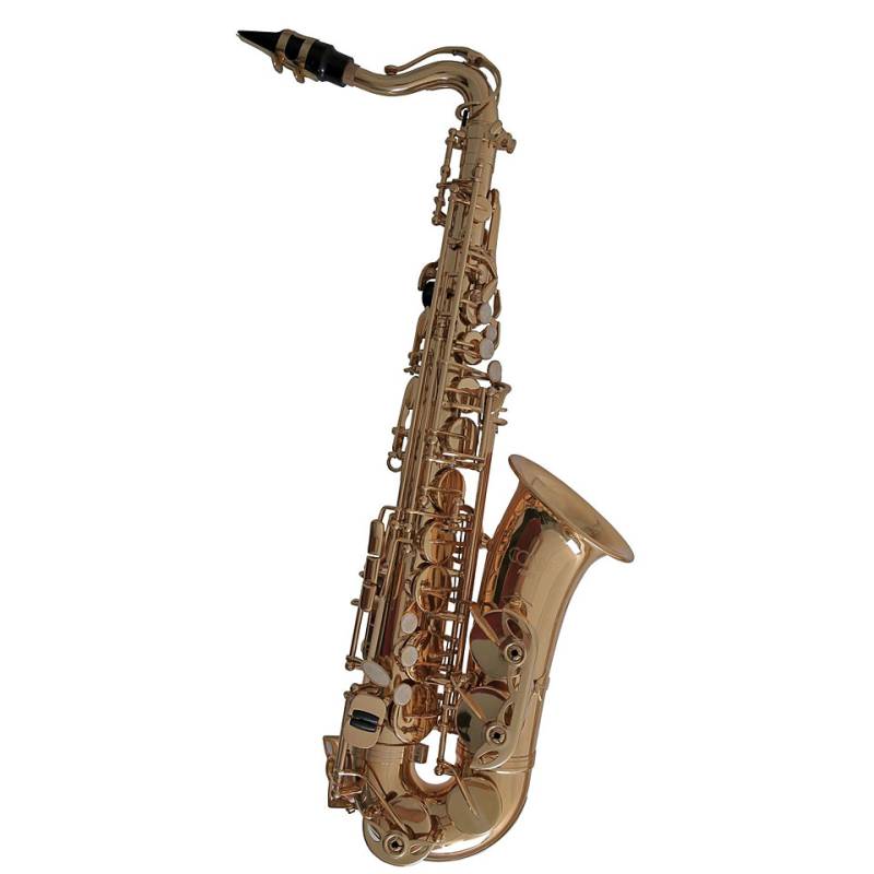 Conn Children Alto-Sax AS655 Altsaxophon von Conn