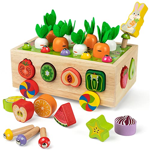 Coogam Montessori Feinmotorik Spielzeug für Baby Kleinkind, hölzerne Form Sortierer Karotte Ernte Spiel, Vorschule Lernen pädagogische Geschenk Spielzeug für 2 3 4 Jahre alt von Coogam