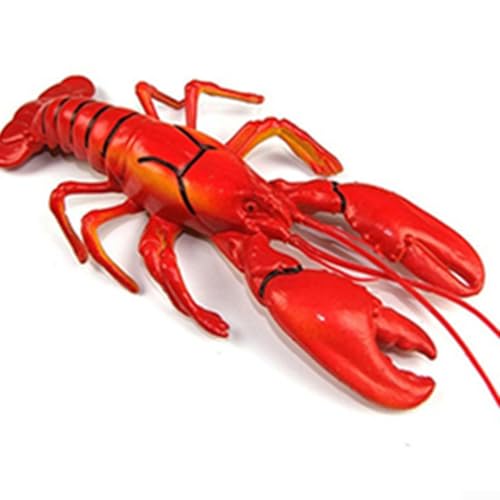 35,6 x 12,7 cm dekoratives Hummer-Modell, zum Sammeln und Verbessern von Fotoshootings mit Meeresmotiven von CookiBlend