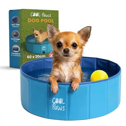 Cool Paws Hunde Planschbecken Extra Klein 60x20cm - Langlebiger Faltbarer Kunststoff Planschbecken für Hunde und Kinder, Auslaufsicher und Pannensicher Hundepools, Ideal für Innen & Außen - Blau Cool Paws Hunde Planschbecken Extra Klein 60x20cm - Langlebiger Faltbarer Kunststoff Planschbecken für Hunde und Kinder, Auslaufsicher und Pannensicher Hundepools, Ideal für Innen & Außen - Blau von Cool Paws