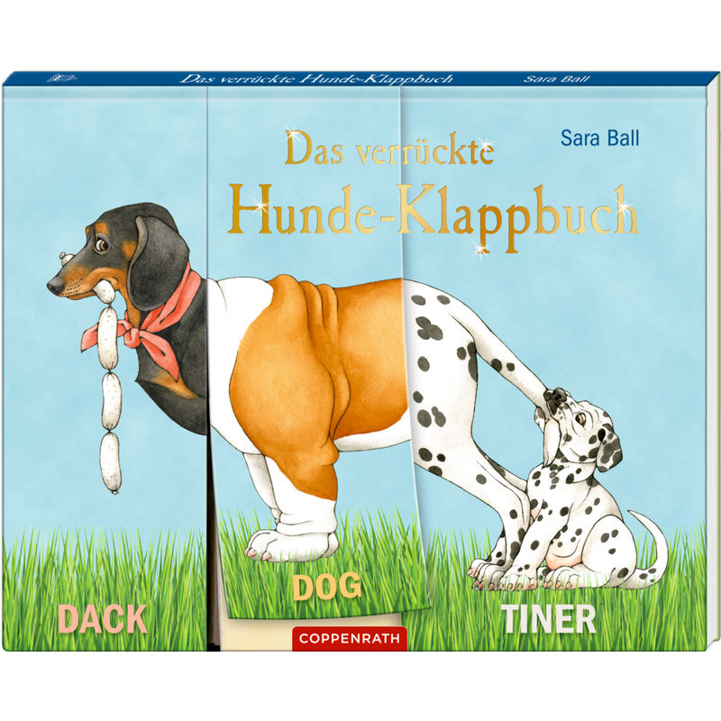 Das verrückte Hunde-Klappbuch von Coppenrath, Münster
