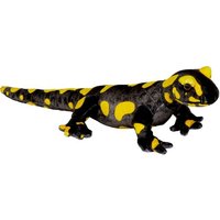 Feuersalamander - Nature Zoom Wild von Coppenrath Verlag GmbH & Co. KG