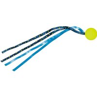 Flummi mit Sternenschweif - Bunte Geschenke Flummi mit Sternenschweif - Bunte Geschenke von Coppenrath Verlag GmbH & Co. KG