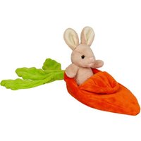 Hase Frieda im Möhrchen-Ostern KInder 2025 Hase Frieda im Möhrchen-Ostern KInder 2025 von Coppenrath Verlag GmbH & Co. KG