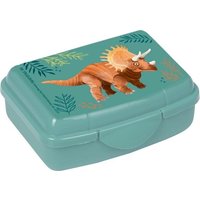 Mini-Snackbox - Dino Friends von Coppenrath Verlag GmbH & Co. KG