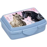 Mini-Snackbox - Pferdefreunde, hellblau von Coppenrath Verlag GmbH & Co. KG