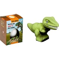 Zauber-Ei T-Rex World von Coppenrath Verlag GmbH & Co. KG