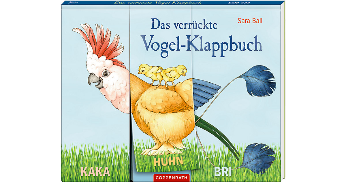 Buch - Das verrückte Vogel-Klappbuch von Coppenrath Verlag