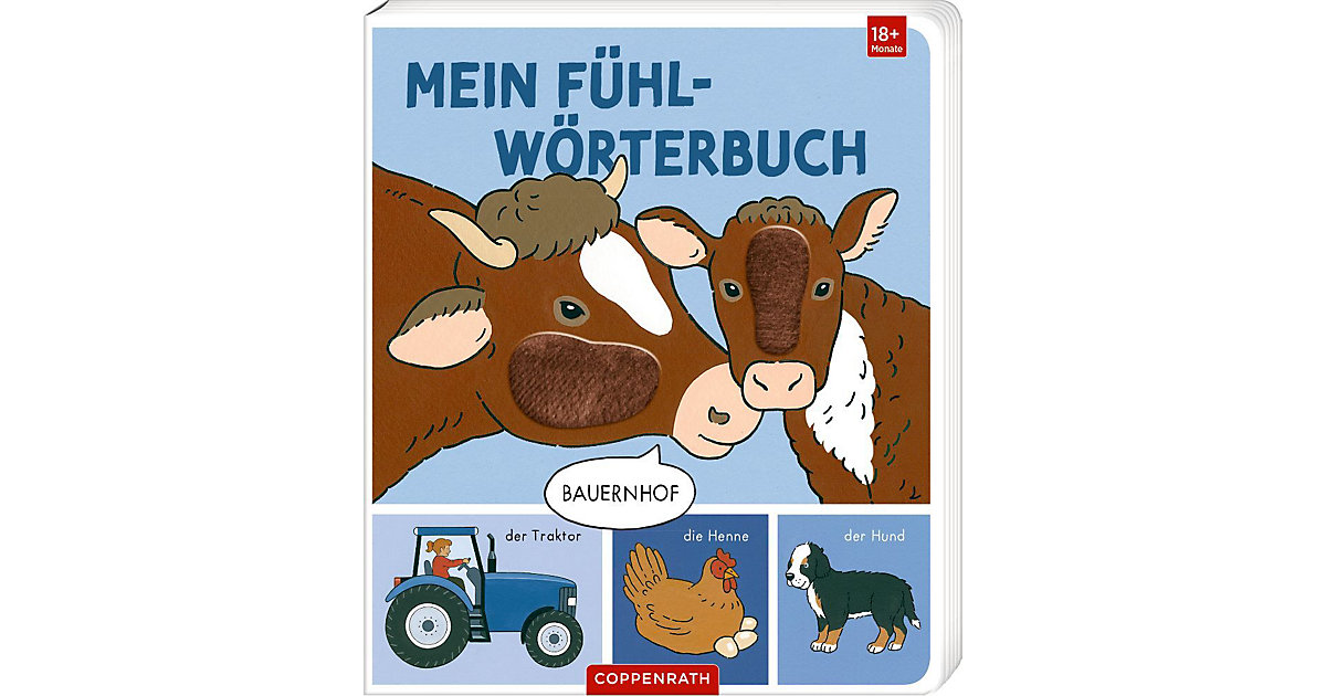 Buch - Mein erstes Fühl-Wörterbuch von Coppenrath Verlag