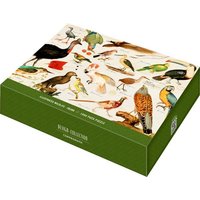 Coppenrath - Puzzle Illustrierte Tierwelt, 1000 Teile, Geschenkbox von Coppenrath Verlag
