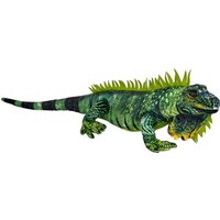 Grüner Leguan - Nature Zoom Wild von Coppenrath Verlag