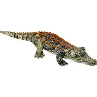 Krokodil - Nature Zoom Wild von Coppenrath Verlag