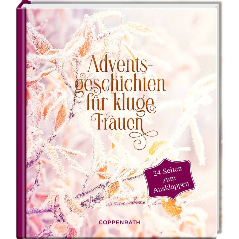 Adventskalenderbuch / Adventsgeschichten für kluge Frauen von Coppenrath, Münster