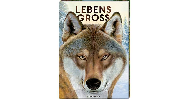 Buch - Nature zoom: Lebensgroß von Coppenrath Verlag