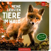 COPPENRATH 64548 Meine liebsten Tiere im Wald von Coppenrath