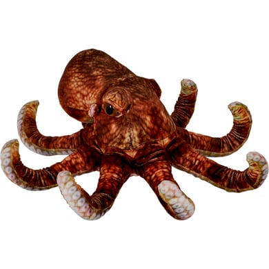 Coppenrath Oktopus - Nature Zoom Wild von Coppenrath