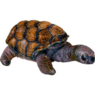Coppenrath Schildkröte - Nature Zoom Wild von Coppenrath