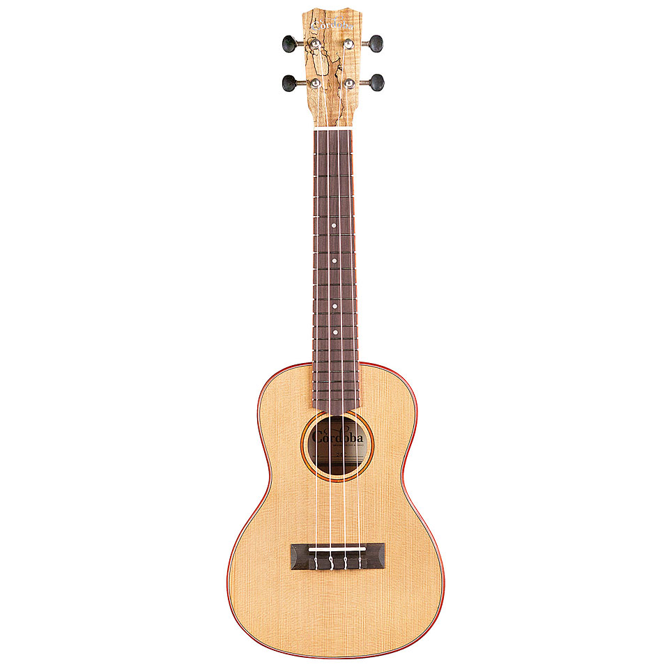 Cordoba 24 C Ukulele Cordoba 24 C Ukulele von Cordoba