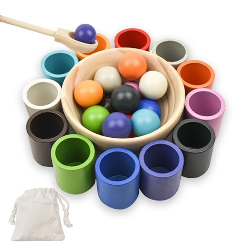 Coriver Montessori Spielzeug ab 3 Jahre, Holz Kugeln in Tassen Sortier Stapelspielzeug-12 Farben, Montessori Ball Sortierspiel für Farbsortierung, Geschenk ab 3+Jahre von Coriver
