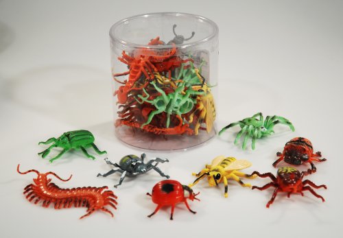 Cornelißen 12er Set Insekten - je ca. 8cm, je 1 x Marienkäfer, Tausendfüßer, Skorpion, Wespe, Nashornkäfer ... Cornelißen 12er Set Insekten - je ca. 8cm, je 1 x Marienkäfer, Tausendfüßer, Skorpion, Wespe, Nashornkäfer ... von Cornelißen
