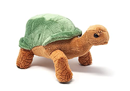 Cornelißen Kuscheltier - Grüne Landschildkröte - 20 cm von Cornelißen