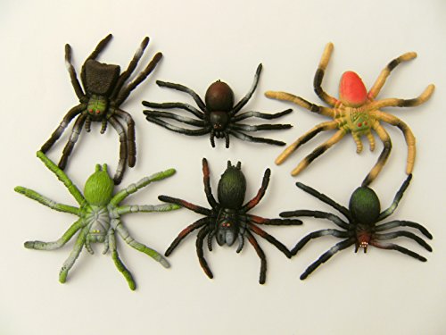 Cornelissen Spinnen Stretch 6erSet, 9 cm, Spinne Stretchspinne Stretchspinnen Vogelspinnen Tiere Cornelissen Spinnen Stretch 6erSet, 9 cm, Spinne Stretchspinne Stretchspinnen Vogelspinnen Tiere von Cornelissen