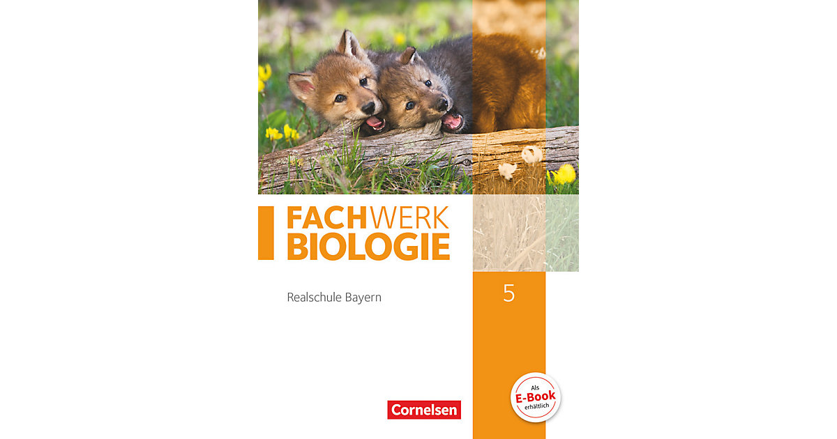 Buch - Fachwerk Biologie, Realschule Bayern: 5. Jahrgangsstufe, Schülerbuch Buch - Fachwerk Biologie, Realschule Bayern: 5. Jahrgangsstufe, Schülerbuch von Cornelsen Verlag