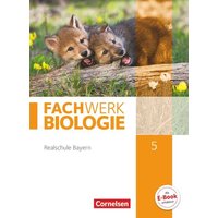 Fachwerk Biologie 5. Jahrgangsstufe - Realschule Bayern - Schülerbuch von Cornelsen Verlag