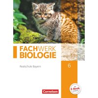 Fachwerk Biologie 6. Jahrgangsstufe - Realschule Bayern - Schülerbuch von Cornelsen Verlag